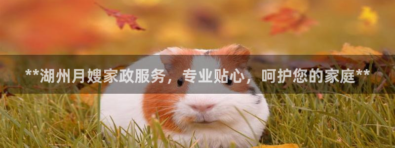 杏悦平台代理注册流程