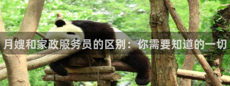 杏悦官网注册信息查询