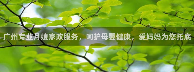 杏悦平台登录地址是什么