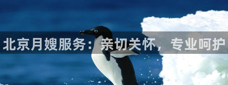 杏悦平台登录网址是多少