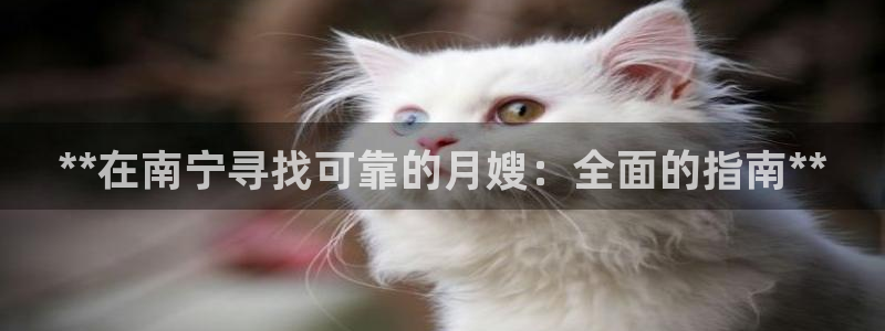 杏悦平台登录网址