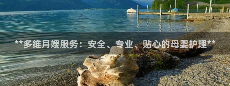 杏悦登录网址是什么