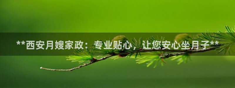 杏悦平台代理注册流程