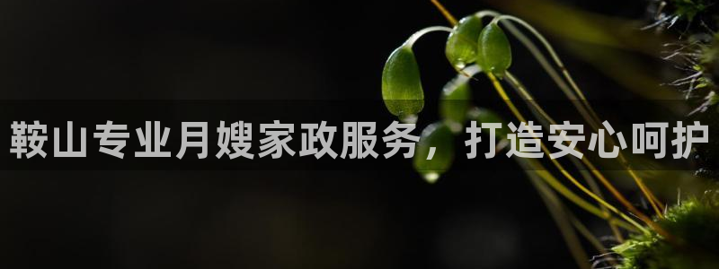 杏悦官网注册信息查询