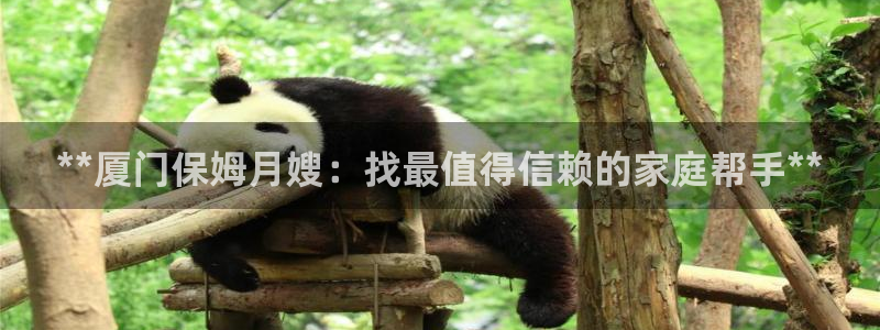 杏悦平台登录地址在哪里