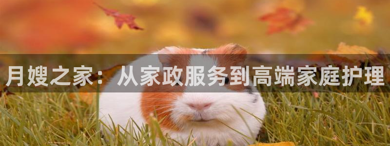 杏悦平台注册网址