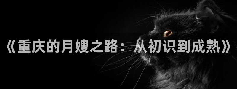 杏悦t首选推荐平台