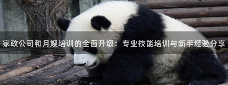 杏悦平台代理注册