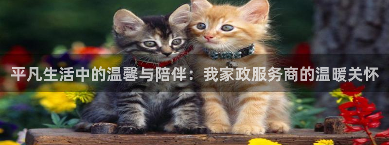 杏悦平台如何注册账号