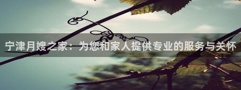 杏悦平台登录网址查询