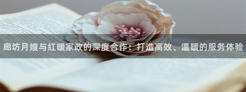 杏悦娱乐注册平台