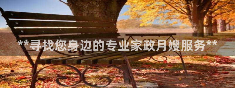 杏悦平台注册流程