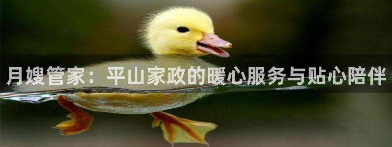 杏悦平台注册地址