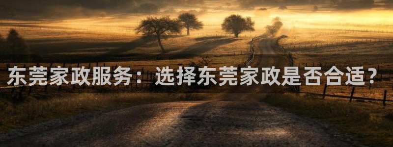 杏悦平台登录网址查询