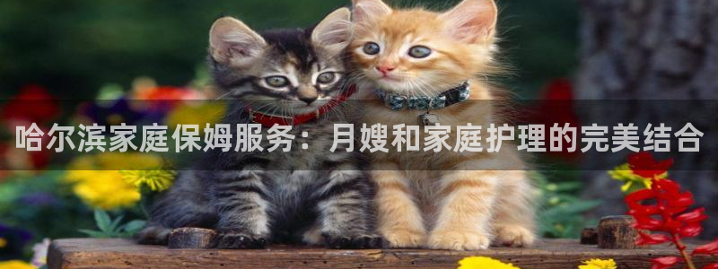 杏悦娱乐注册平台有哪些