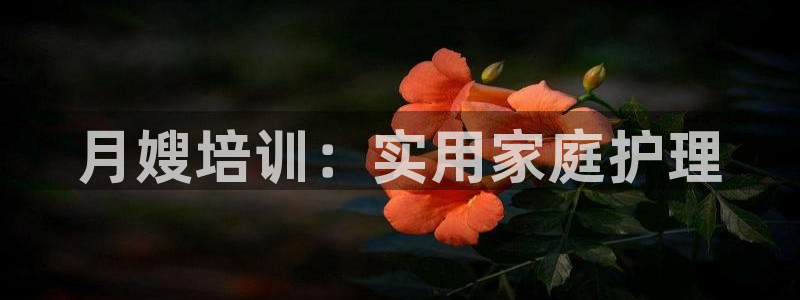 杏悦平台注册地址是哪里