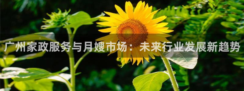 杏悦平台登录地址是什么