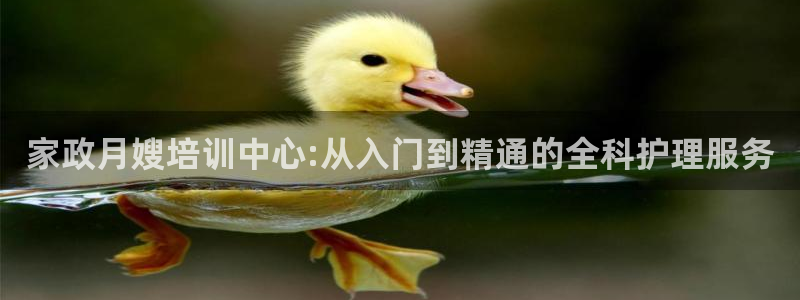 杏悦娱乐注册平台怎么样