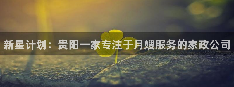 杏悦平台官网注册