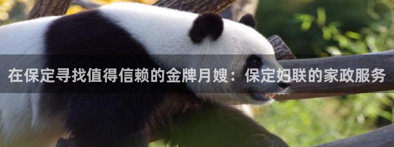 杏悦娱乐注册平台官网