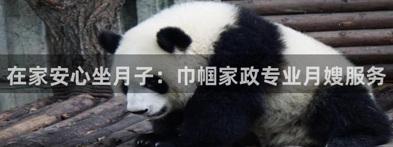 杏悦平台注册要钱吗