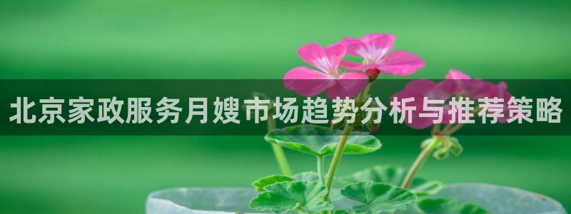 杏悦官网注册信息是什么样的