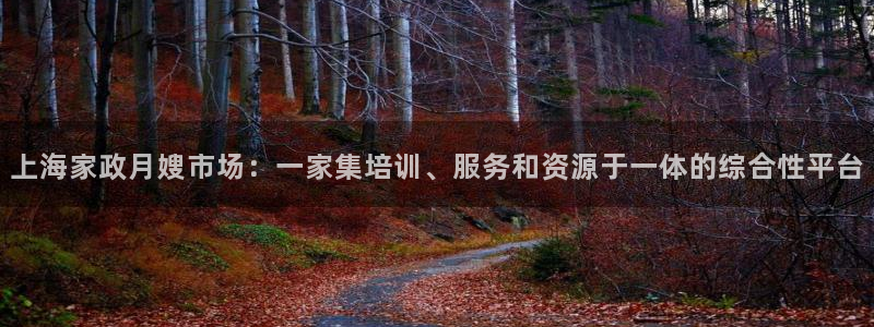 杏悦娱乐注册平台怎么样