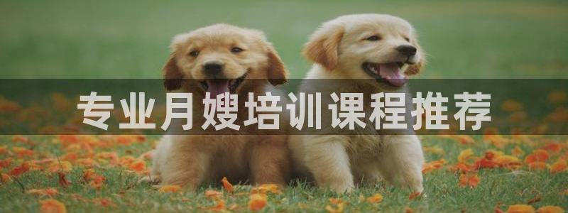 杏悦平台代理注册