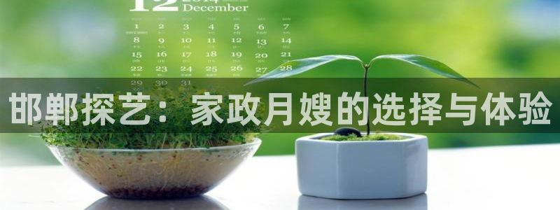 杏悦平台代理怎么做的