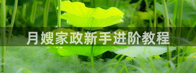 杏悦平台代理怎么样可靠吗