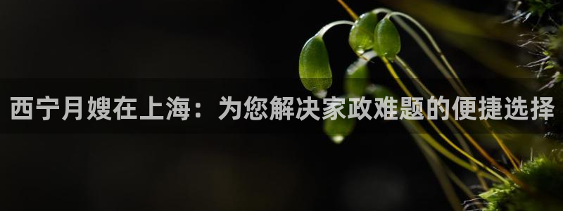 杏悦t首选推荐平台