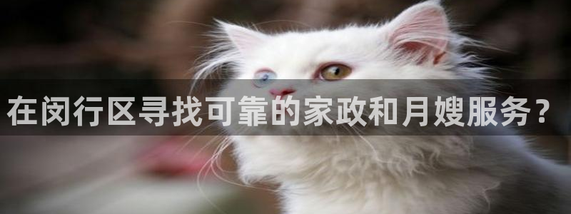 杏悦平台登录网址是多少