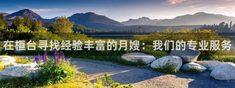 杏悦娱乐是什么