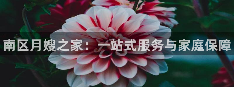 杏悦平台开户地址是什么