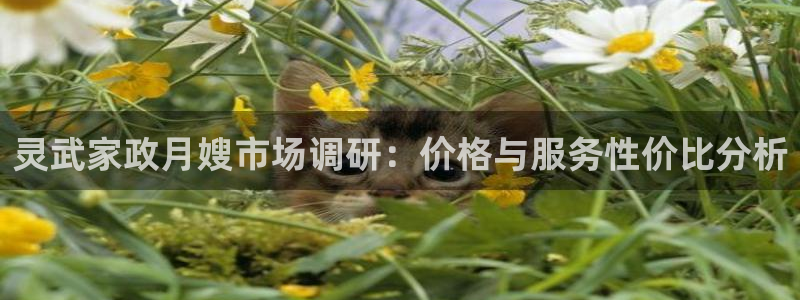 杏悦官网注册信息在哪里看