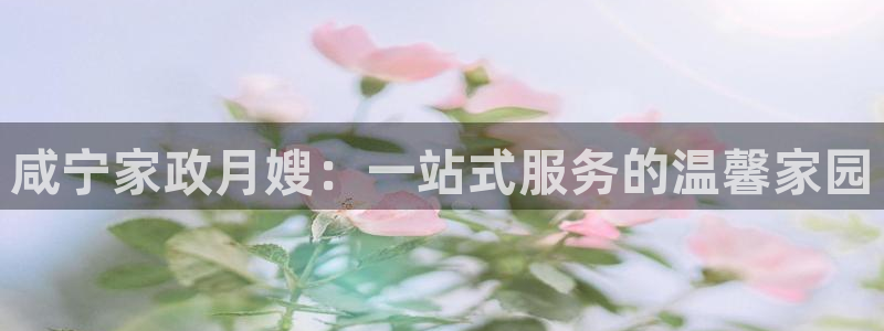 杏悦平台线路测速