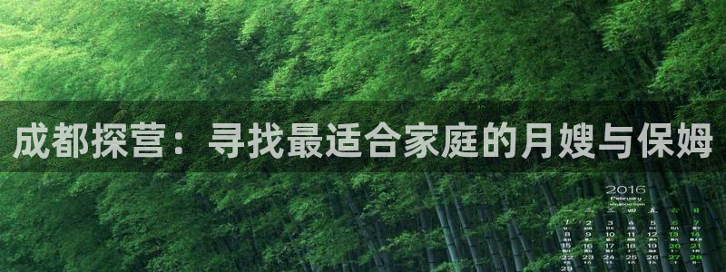 杏悦官网注册信息是什么样的