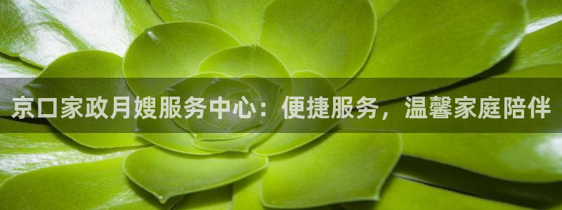 杏悦平台代理注册要钱吗