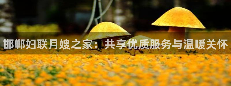 杏悦平台代理注册多少钱