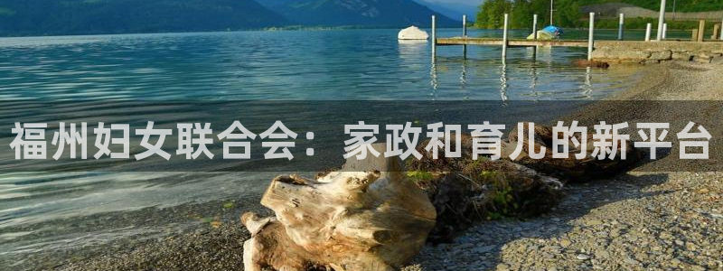 杏悦平台登录网址查询