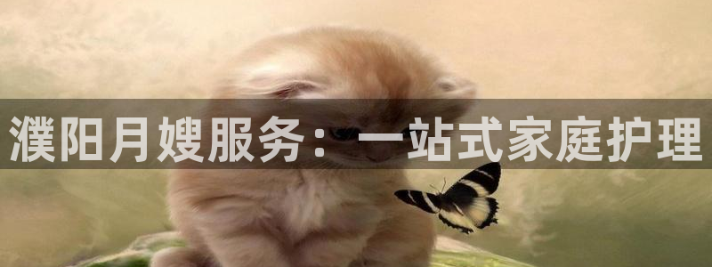 杏悦平台如何注册账号