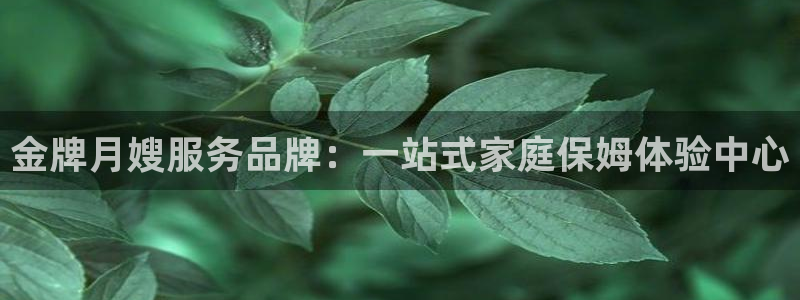 杏悦平台登录地址是什么